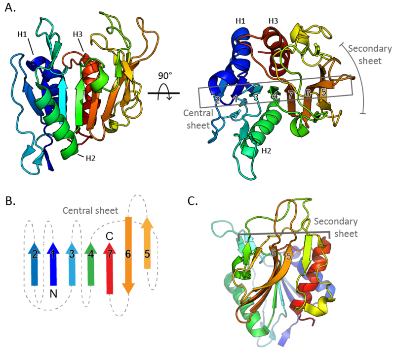 Carbohydrate Binding Module Family 87 - CAZypedia