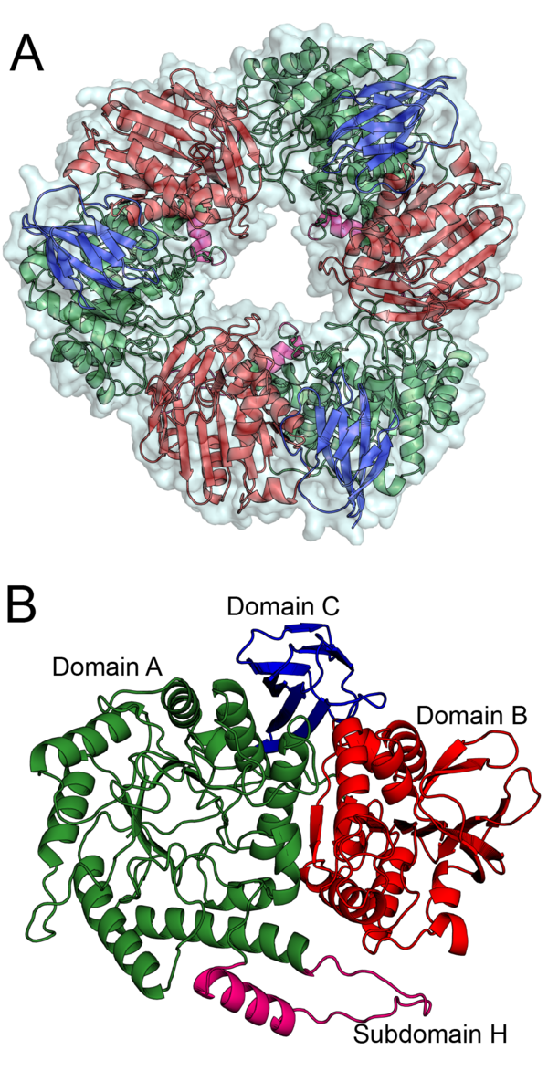 Glycoside Hydrolase Family 164 - CAZypedia