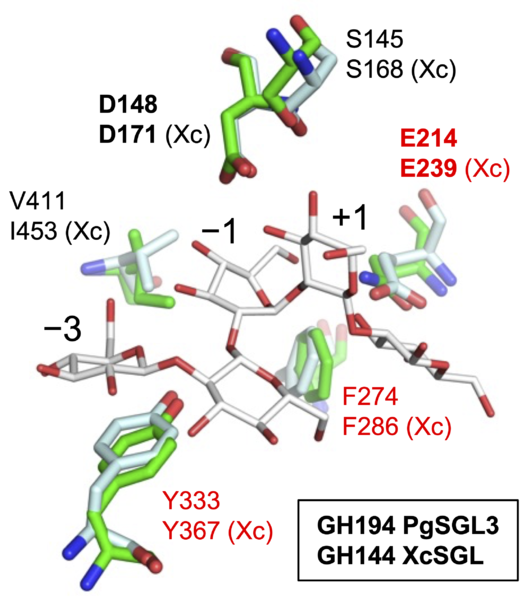 File:GH194 pedia.png