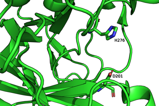 Glycoside Hydrolase Family 107 - CAZypedia